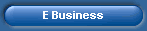 E Business